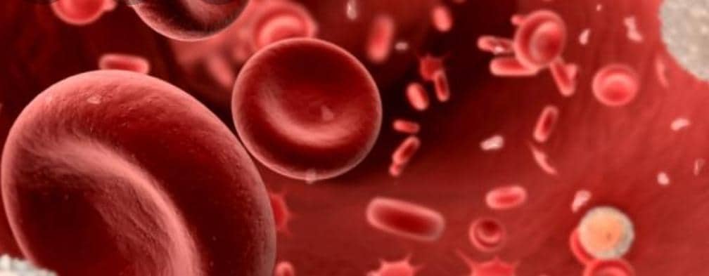 77187090 445787856134069 3889947967271993344 n - مجلة زوران