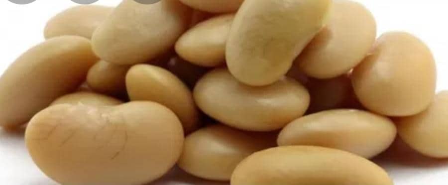 78178462 450186949229152 4492637006815297536 n - مجلة زوران