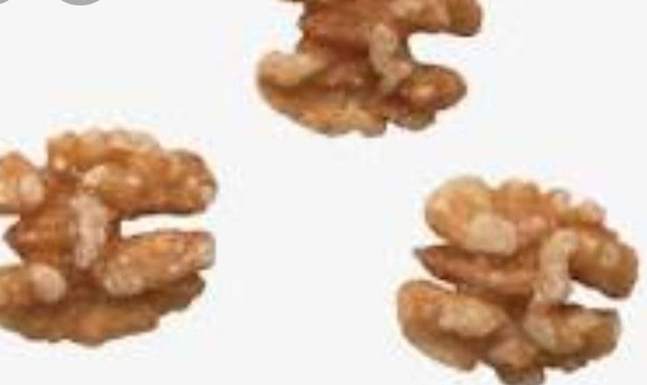 78497426 731141184061762 7048326969536020480 n - مجلة زوران