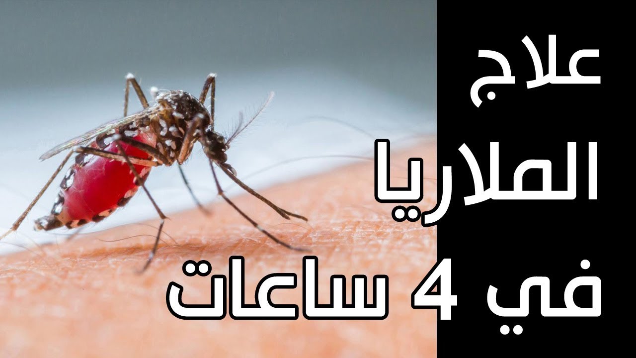 علاج للملاريا