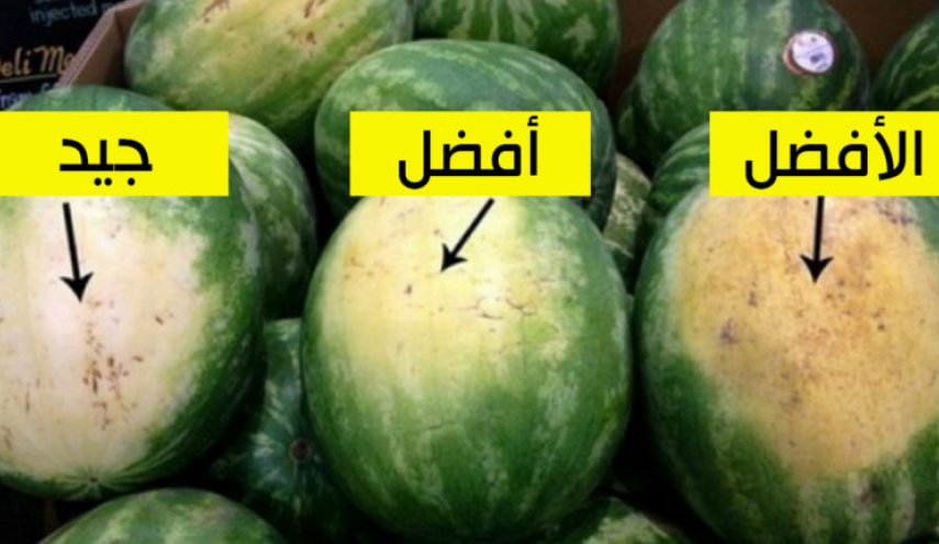 اختبار البطيخ - مجلة زوران