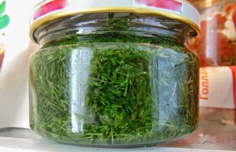 الحفاظ على الخضروات بدون تجميد 3 - مجلة زوران