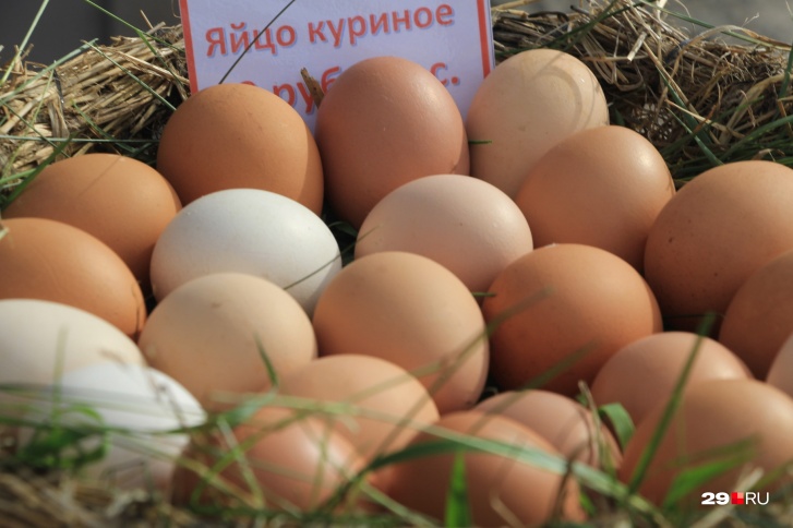 تقرير البيض مجلة زوران 1 - مجلة زوران