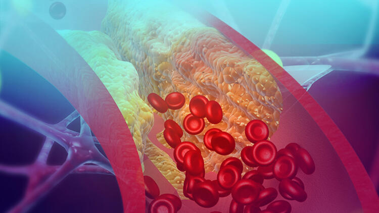 الخرافة الثامنة - مجلة زوران