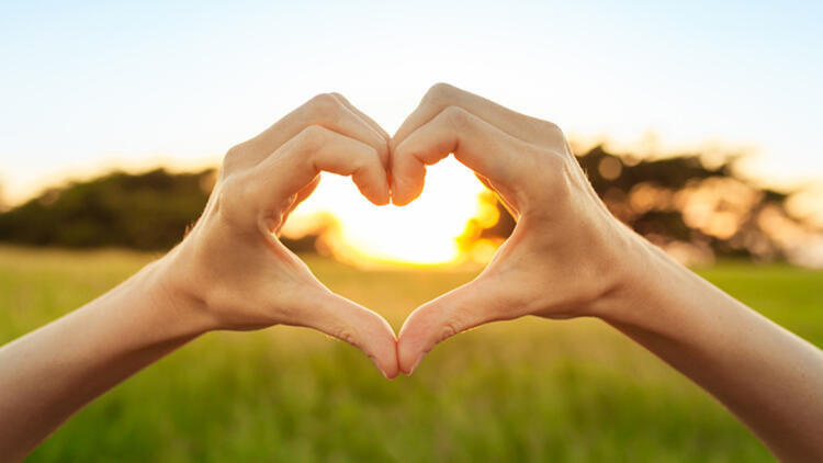 الخرافة الرابعة - مجلة زوران