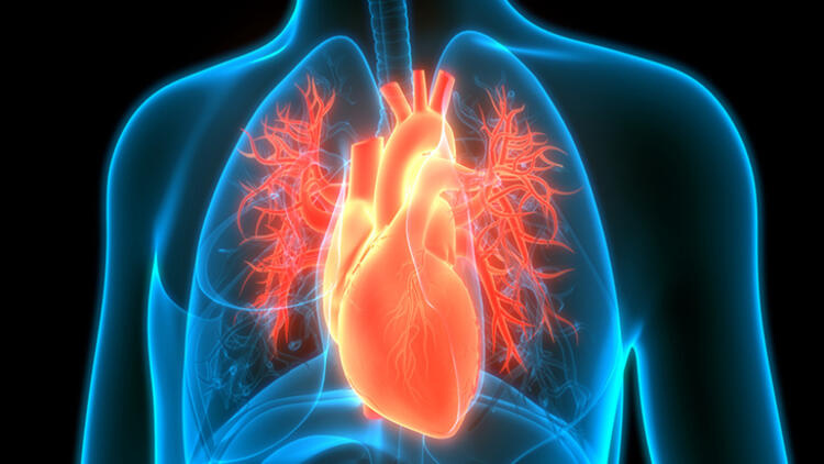 الخرافة السابعة - مجلة زوران