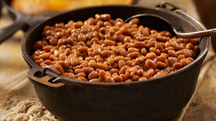 فاصولياا - مجلة زوران