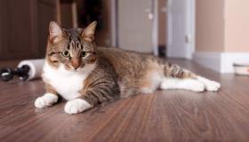 ماذا يفكرون؟