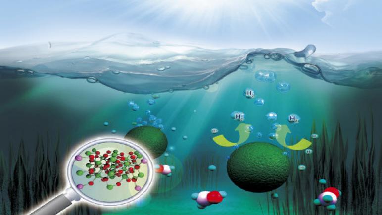 نظرة عامة على تقنية النانو: مستقبل تحلية مياه البحر