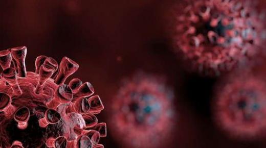 صداقات في الجوار تعود للأطفال في عصر فيروس كورونا.