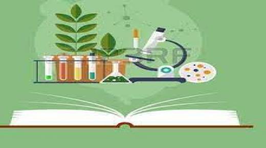 تفريغ الابتكار في علم الأحياء.