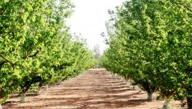 السياحة الزراعية .