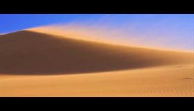 كيفية حماية منزلك من الحطام المشتعل بفعل الرياح.