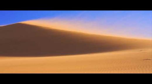 كيفية حماية منزلك من الحطام المشتعل بفعل الرياح.