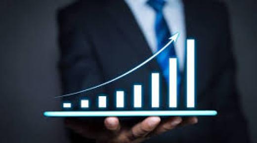 استراتيجيات النمو في الأعمال