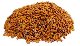 ما هي فوائد حب الرشاد للجسم؟