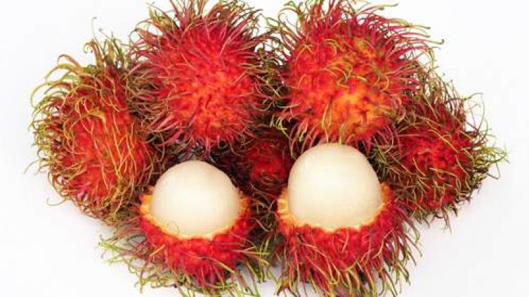 رامبوتان: فاكهة لذيذة ذات فوائد صحية .