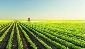 جينات أفضل لمزيد من المحاصيل .