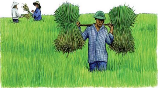 الزراعة المتنقلة .