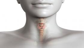 أمراض الغدة الدرقية