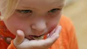 إذا ابتلع الطفل بطارية، أعطه العسل