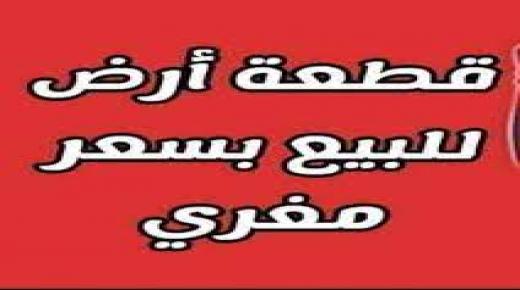 اراضي للبيع بسعر مغري