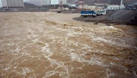 اعصار شاهين