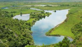 قوة الأراضي الرطبة