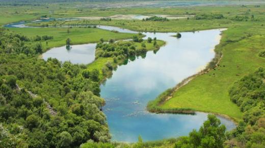 قوة الأراضي الرطبة