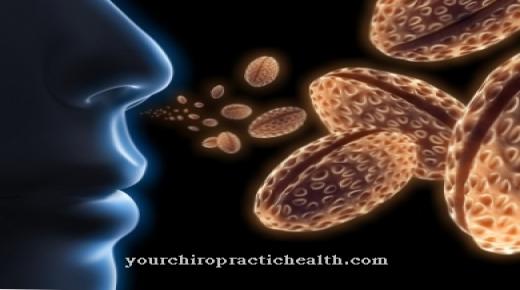 استقبال كيميائي