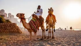 كل شيء هنا مطلي بالذهب.