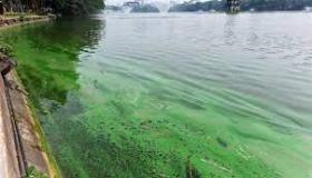 البحيرة التي تتحول من اللون الأزرق إلى الأخضر في لحظة