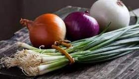 البصل: الفوائد الصحية والمخاطر الصحية وحقائق التغذية