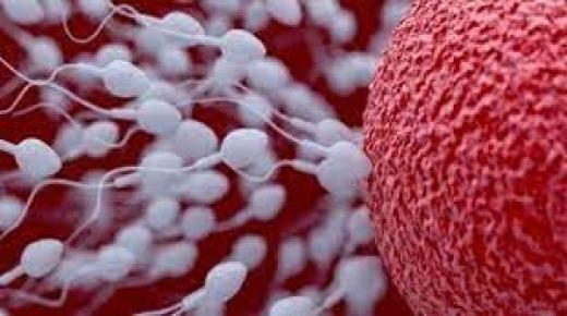 الافراز في النواة