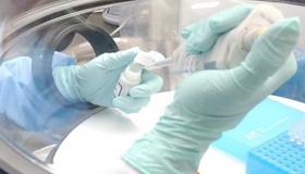 الأبحاث السريرية