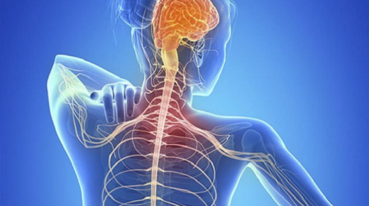 مادة المايلين و دورها في مرض التصلب اللويحي