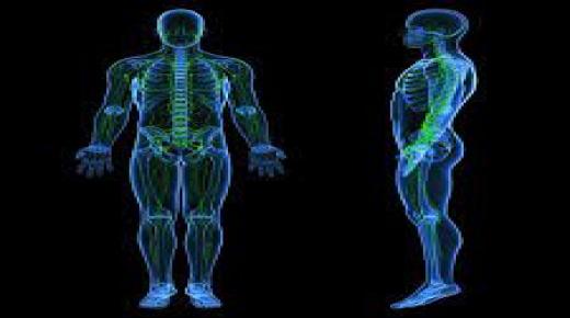 الجهاز الدوري اللمفاوي