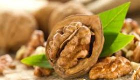 فوائد الجوز