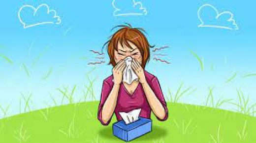 كل ما تحتاج لمعرفته حول الحساسية