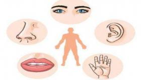 فهم وإدراك العالم من حولنا.