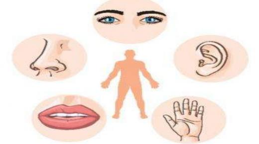 فهم وإدراك العالم من حولنا.