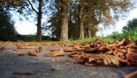 موسم الخريف