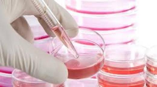 الأمشاج الاصطناعية