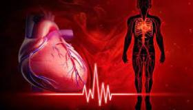 نظام الدورة الدموية