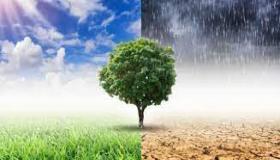 رطوبة الهواء