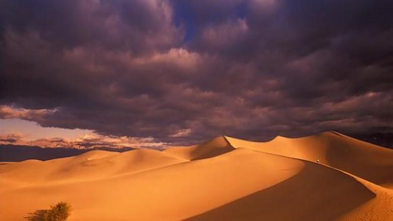 الصحراء القاحلة ليست أكبر صحراء في العالم!