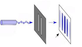 الضوء المستقطب