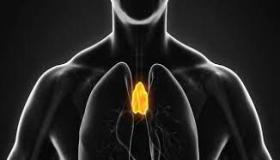 الغدة الزعترية