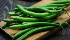 الفاصوليا الخضراء