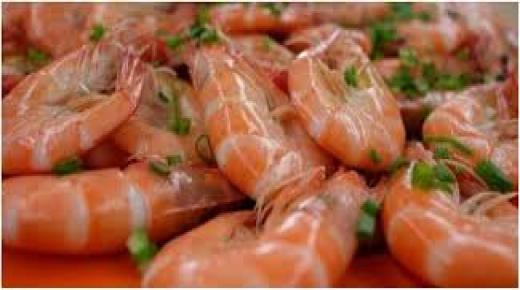 مشروع لتربية الأسماك و”القريدس” في شمال لبنان ينجح في التصدير للخارج